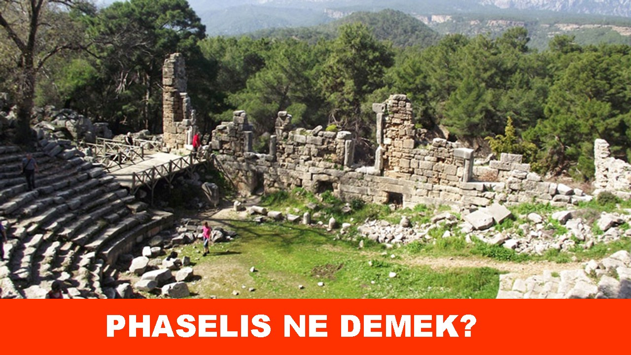 phaselis-ne-demek-faselis-nedir-anlam-ne-son-haberler