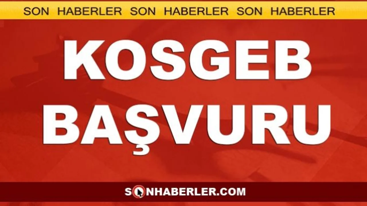 Kosgeb 2019 Kesenin Agzi Aciliyor Iste Kosgeb Destegi Basvuru Sartlari Sonhaberler