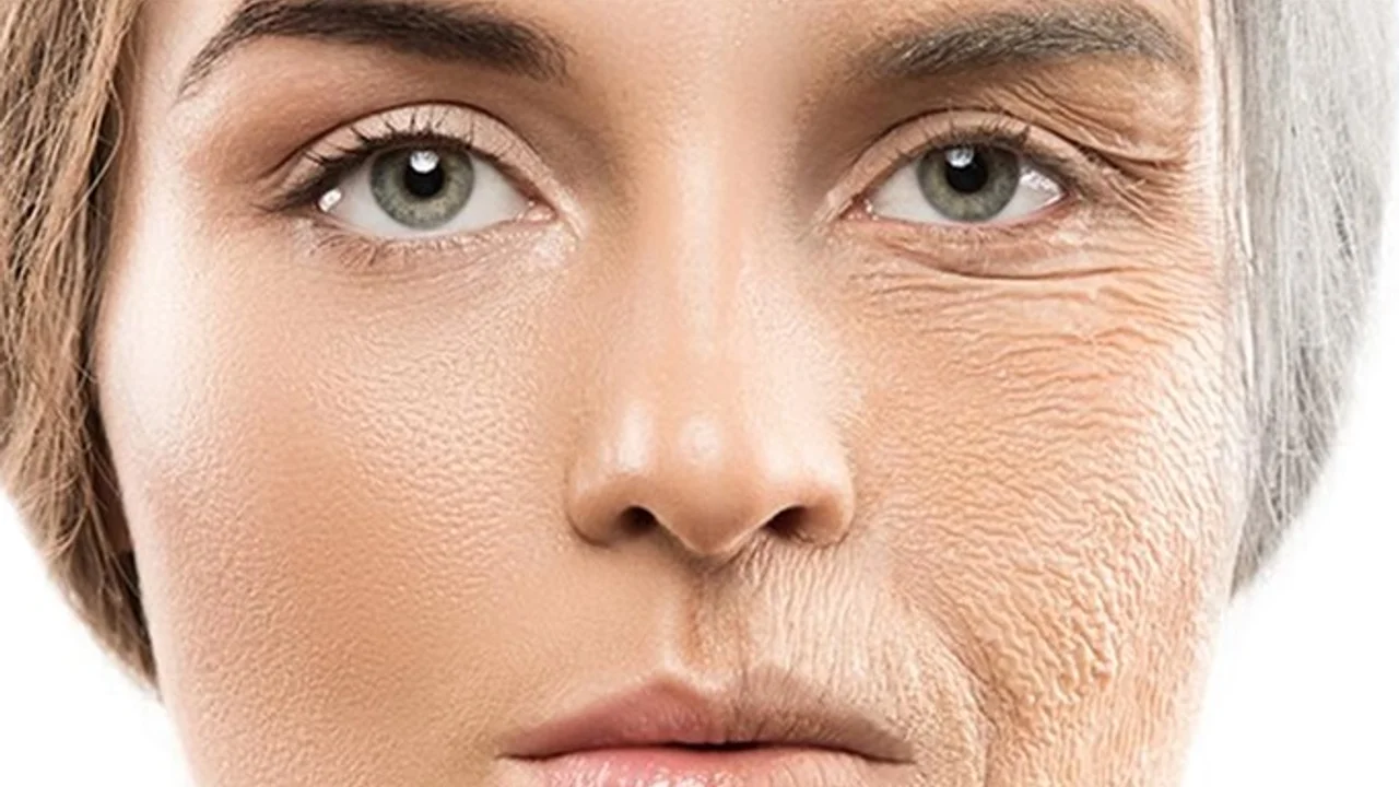 Kolajen Collagen Nedir Ne Ise Yarar Sonhaberler