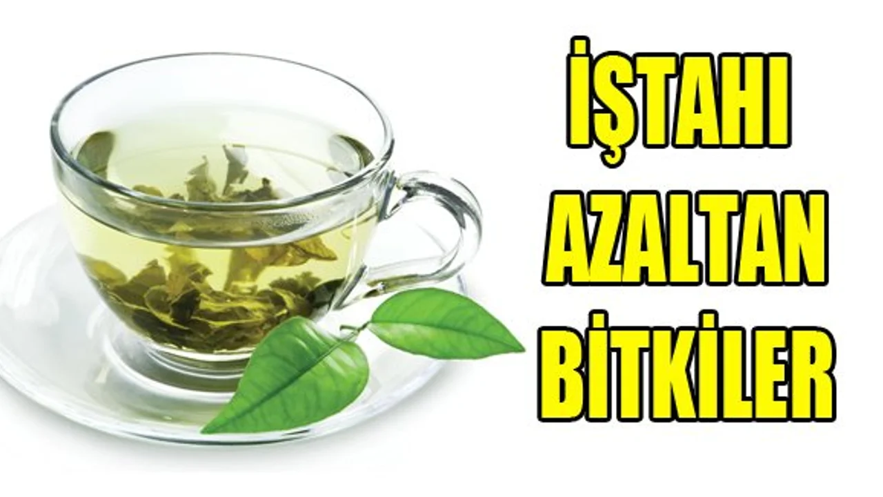 Istahi Azaltan Bitkiler Sonhaberler