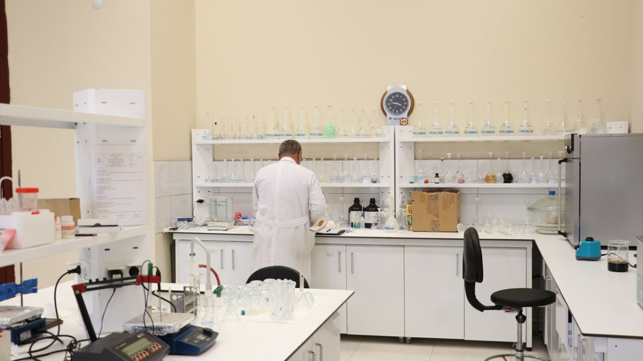 PKK'dan kaçtı yıllar sonra profesör oldu - Sayfa 6
