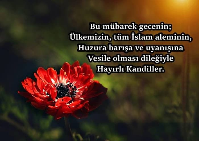 Berat Kandili mesajları 2023 Berat Kandili resimli en güzel mesajlar - Sayfa 15
