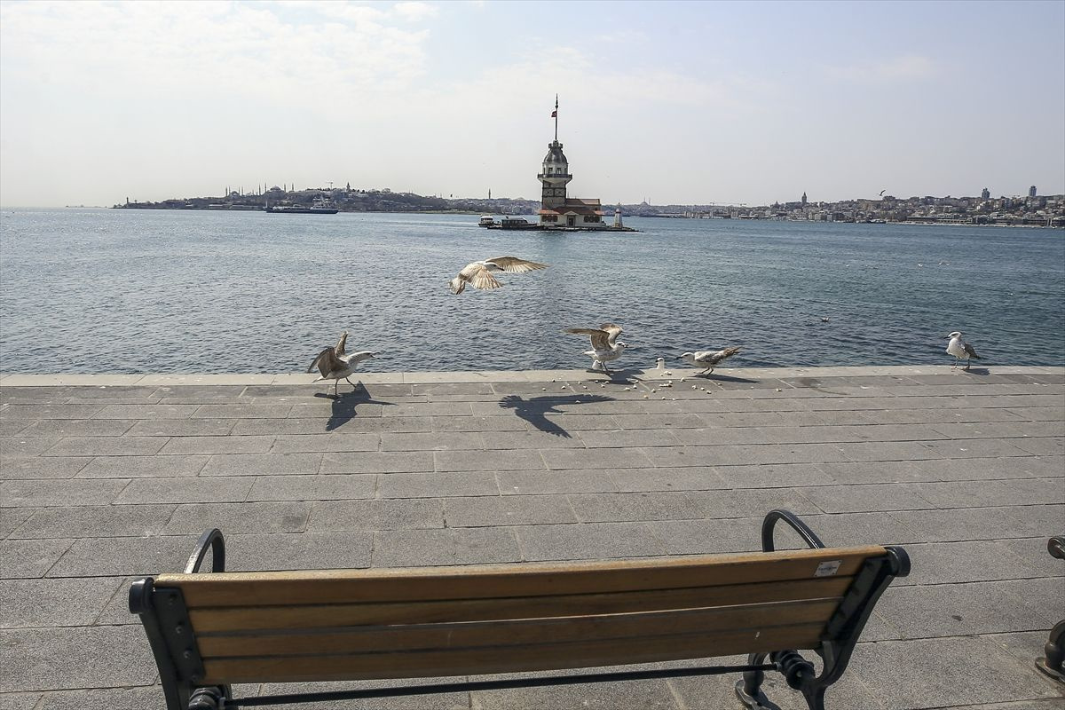 Meydanlar, caddeler, sahiller, kaldırımlar sokak hayvanlarına kaldı - Sayfa 10