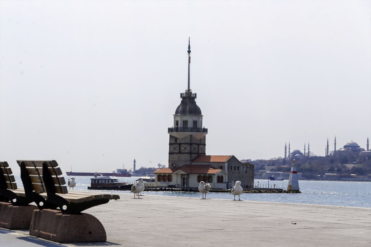 Meydanlar, caddeler, sahiller, kaldırımlar sokak hayvanlarına kaldı - Sayfa 8