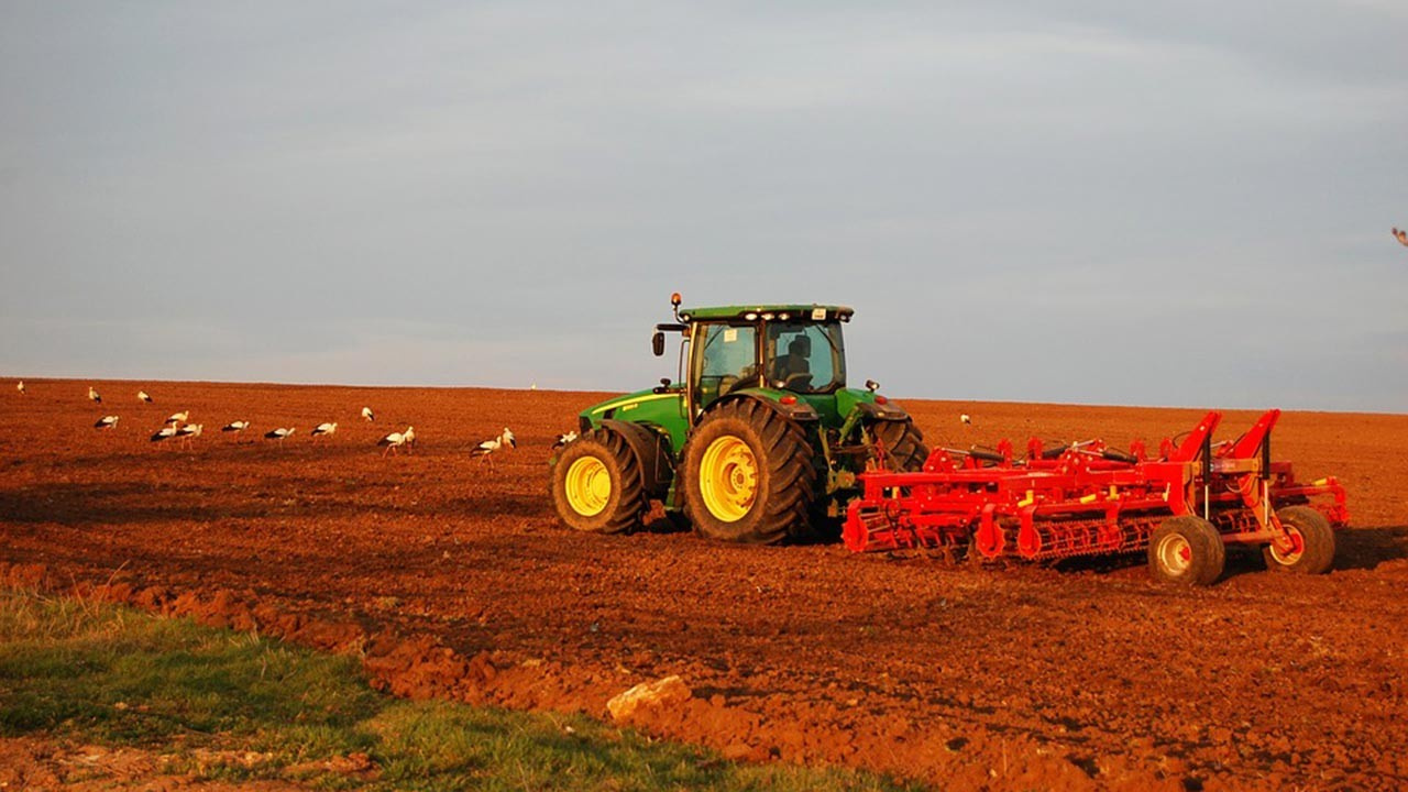 Türkiye genelined çiftçiye ücretsiz tohum dağıtımı