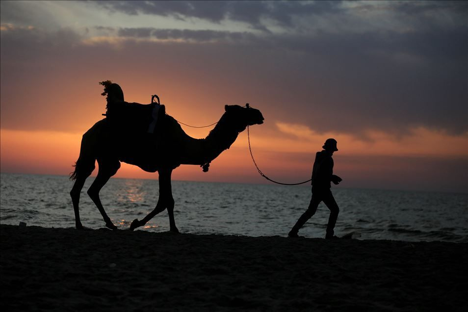 Türkiye ve dünyadan haftanın fotoğrafları - Sayfa 11