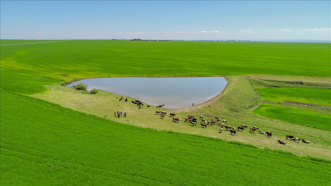 Türkiye ve dünyadan haftanın fotoğrafları - Sayfa 16