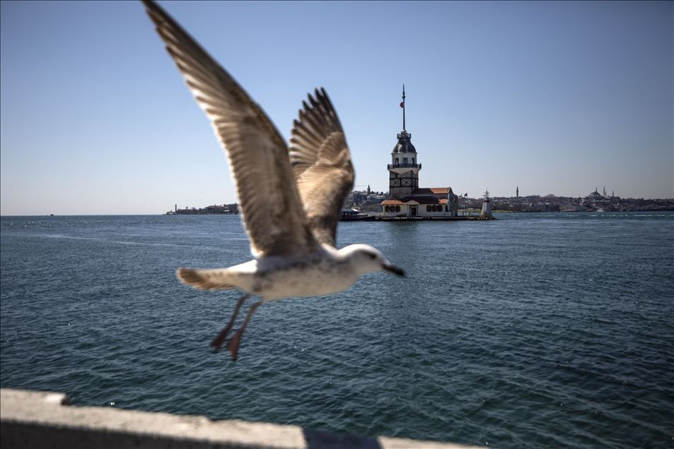 Türkiye ve dünyadan haftanın fotoğrafları - Sayfa 5