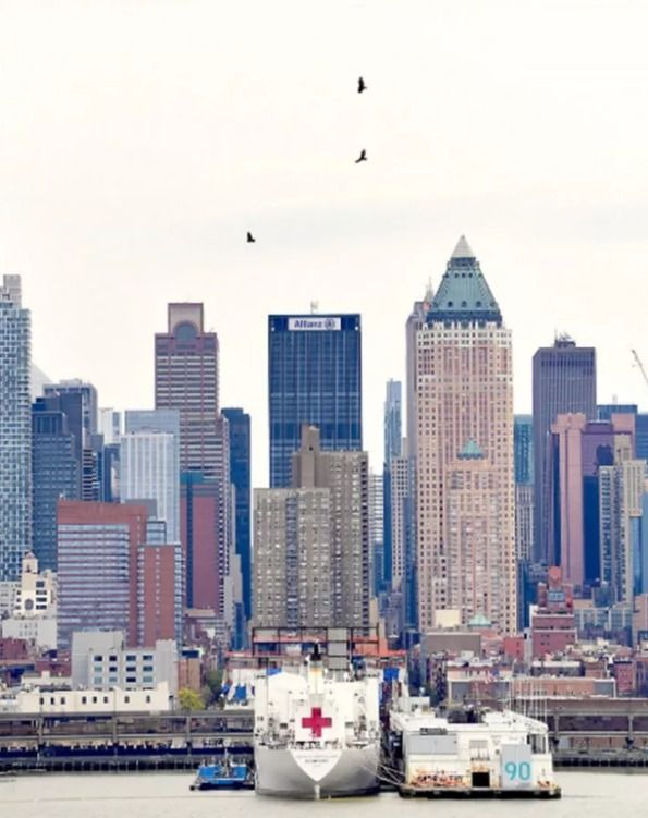 New York semalarında akbabalar gözlendi - Sayfa 7