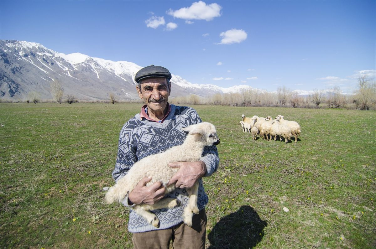 Tunceli Ovacık'ta aynı gün: Ovada inekler, dağda ayılar - Sayfa 5