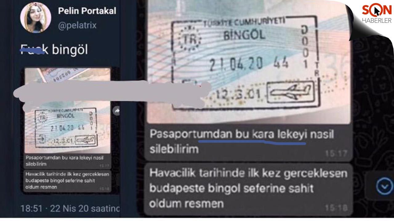 Macaristan'dan getirildiği Bingöl'de karantinaya alınan öğrenci şehre küfretti - Sayfa 1
