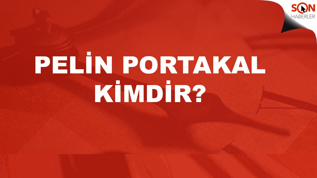 Pelin Portakal nereli, kimdir? Fatih Portakal'ın neyidir?