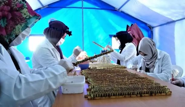 Hasat başladı! Kilosu 7 bin lira - Sayfa 3