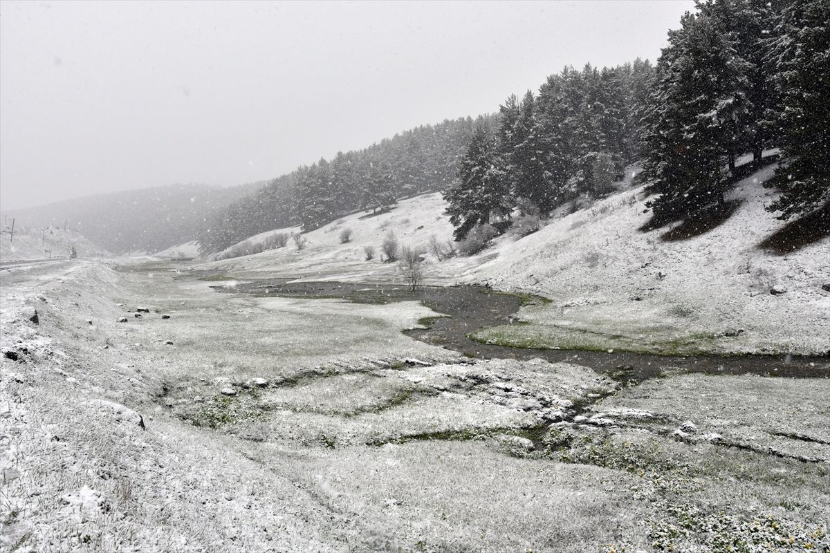 Erzurum ve Kars'a Mayısta kar yağdı - Sayfa 7