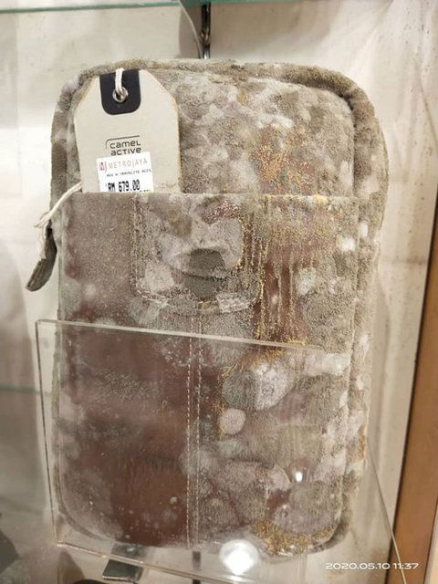 Malezya'da iki ay karantinada kalan işletmeler küf tuttu - Sayfa 8