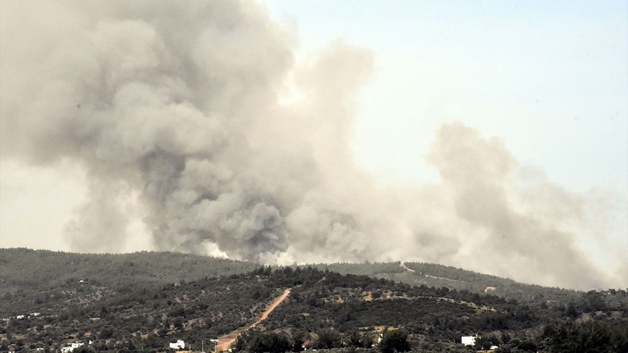 Milas'ta orman yangını, müdahale sürüyor - Sayfa 11