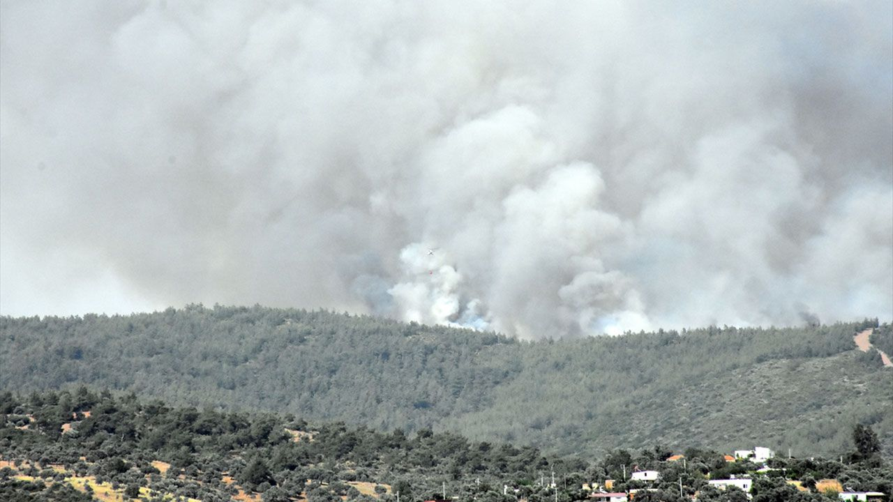 Milas'ta orman yangını, müdahale sürüyor - Sayfa 9