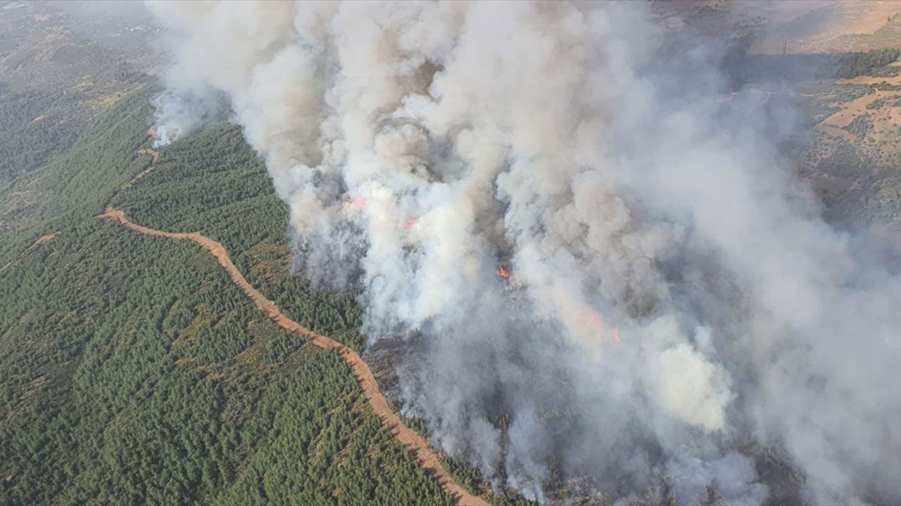Milas'ta orman yangını, müdahale sürüyor - Sayfa 1