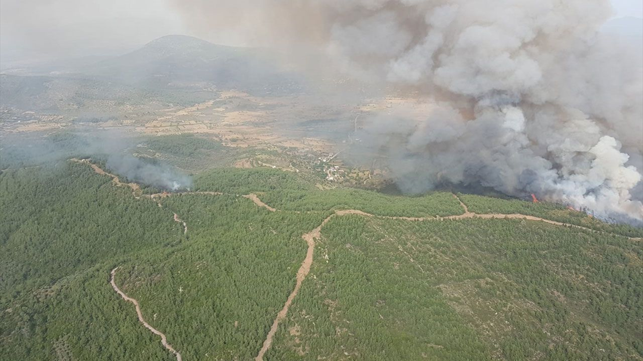 Milas'ta orman yangını, müdahale sürüyor - Sayfa 5