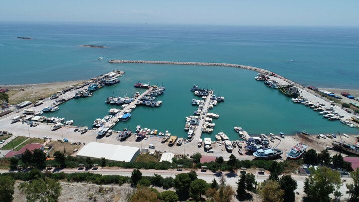 Akdeniz'i istila eden balon balığı tatilcileri korkutuyor - Sayfa 7