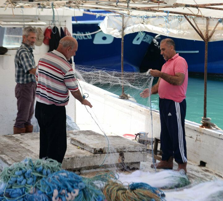 Akdeniz'i istila eden balon balığı tatilcileri korkutuyor - Sayfa 5