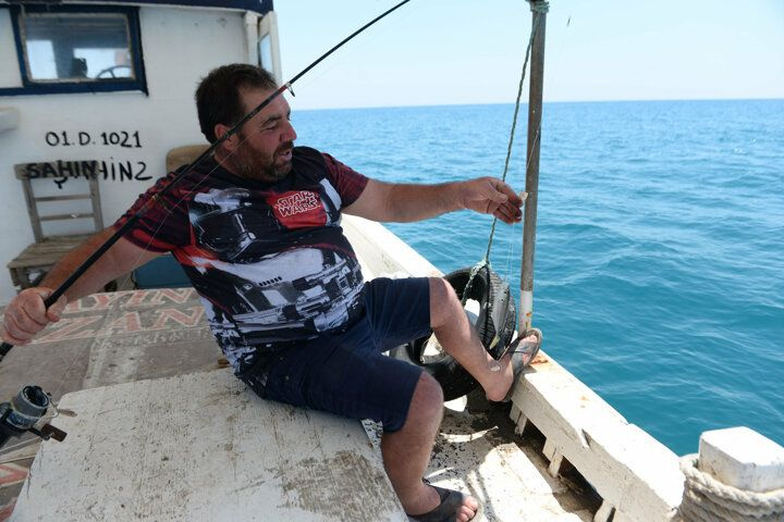 Akdeniz'i istila eden balon balığı tatilcileri korkutuyor - Sayfa 8