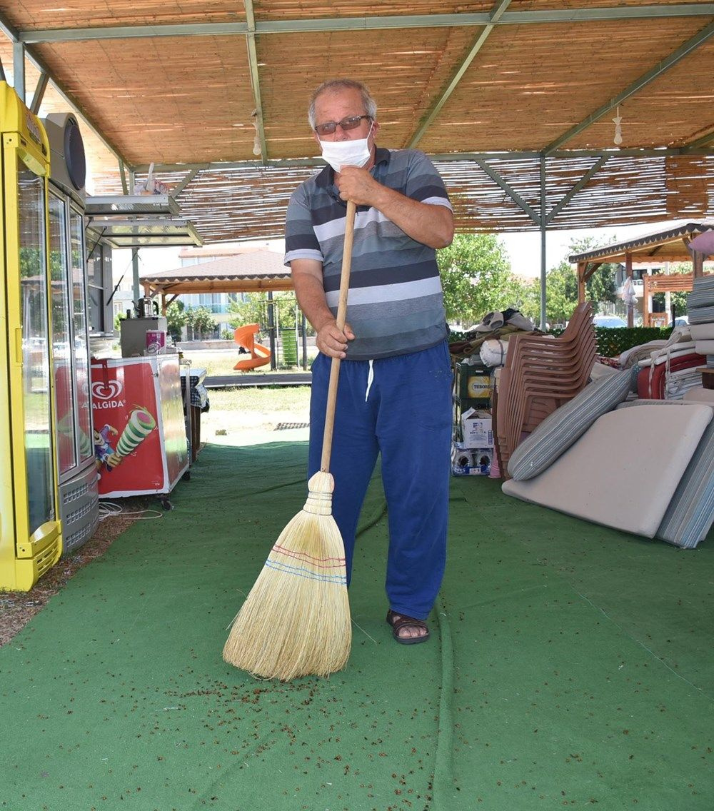 Uğur böceği istilası: Tatilcileri ısırıyorlar - Sayfa 12