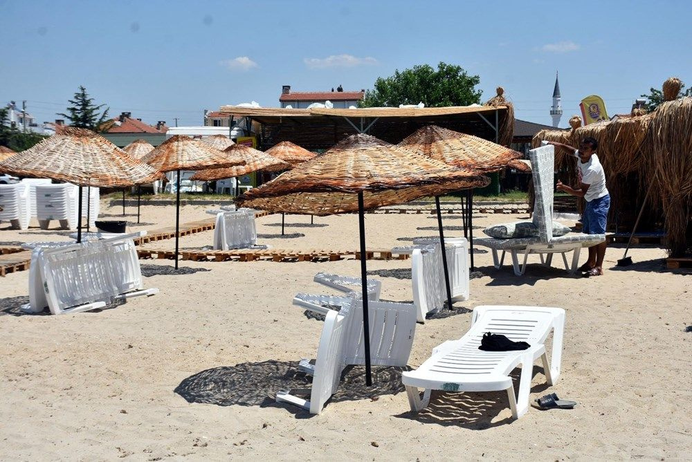 Uğur böceği istilası: Tatilcileri ısırıyorlar - Sayfa 18
