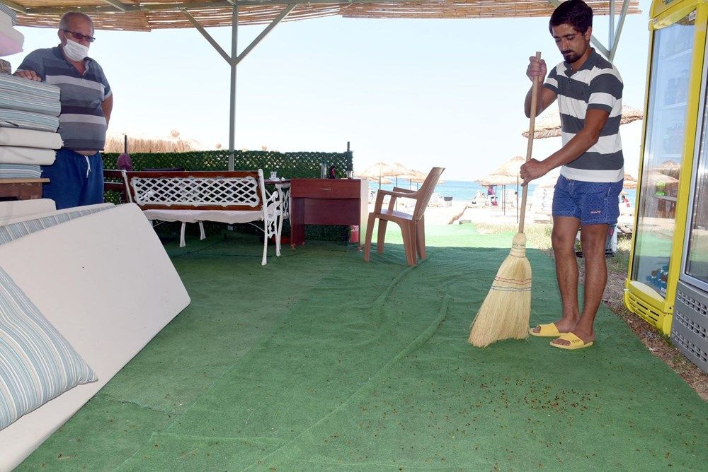 Uğur böceği istilası: Tatilcileri ısırıyorlar - Sayfa 7
