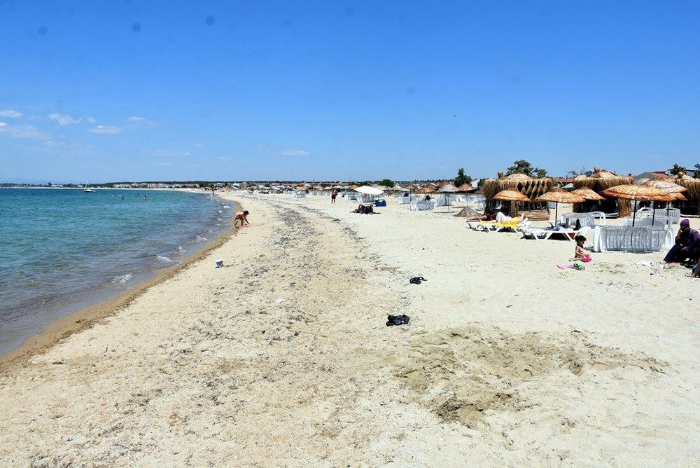 Uğur böceği istilası: Tatilcileri ısırıyorlar - Sayfa 8