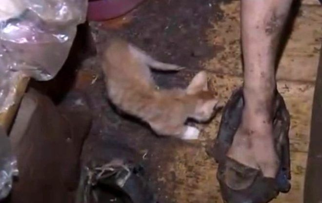 Kızını 26 yıl kedi mamasıyla besledi, 14 yıl duş aldırmadı - Sayfa 5