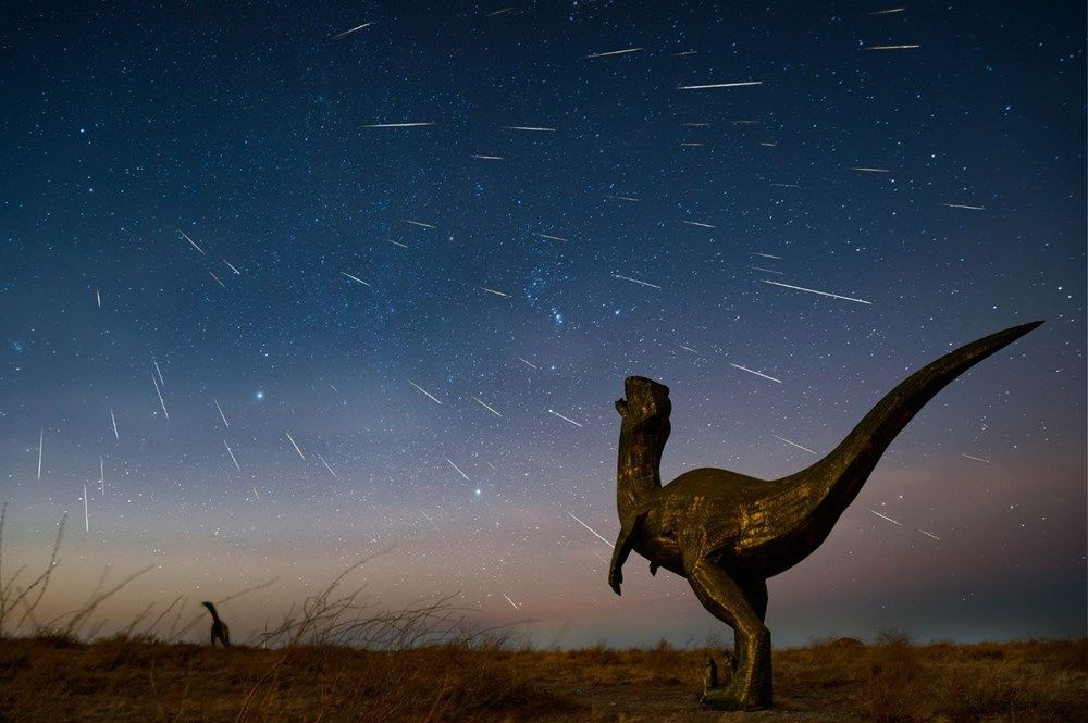 Dinozorların 10 santimetrelik atası bulundu - Sayfa 5