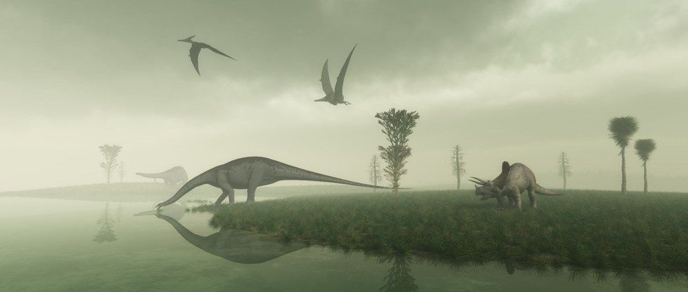 Dinozorların 10 santimetrelik atası bulundu - Sayfa 6
