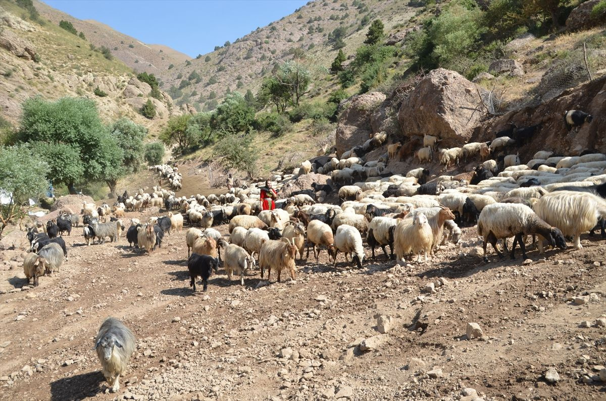 Alime Öğretmen Hakkari'nin dağ köylerinde mutluluğu buldu - Sayfa 16