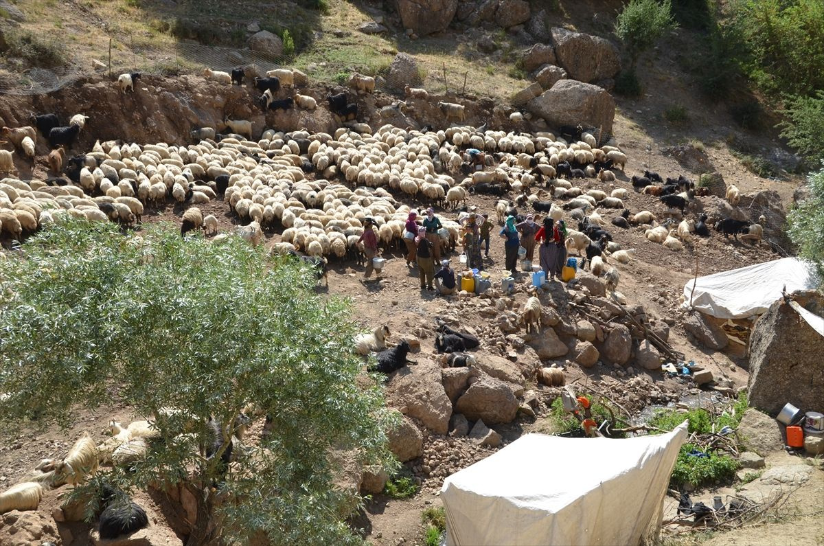 Alime Öğretmen Hakkari'nin dağ köylerinde mutluluğu buldu - Sayfa 9