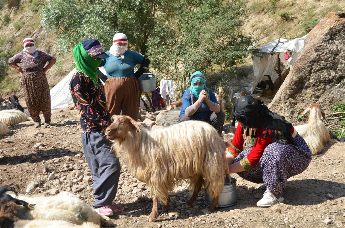 Alime Öğretmen Hakkari'nin dağ köylerinde mutluluğu buldu - Sayfa 10