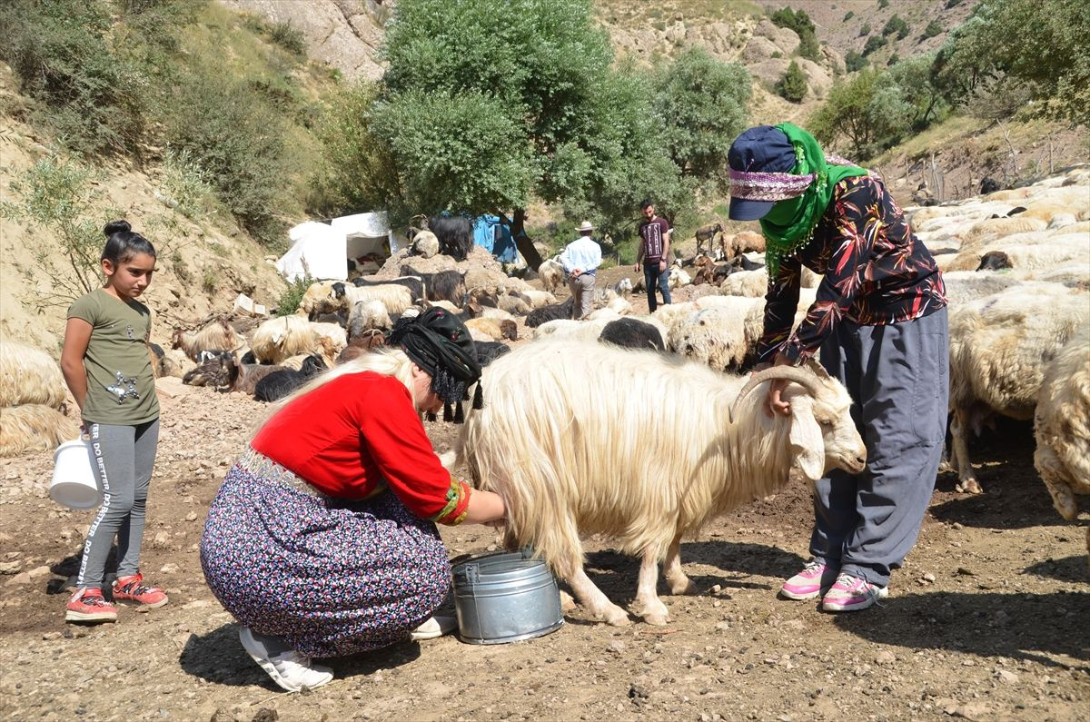 Alime Öğretmen Hakkari'nin dağ köylerinde mutluluğu buldu - Sayfa 12