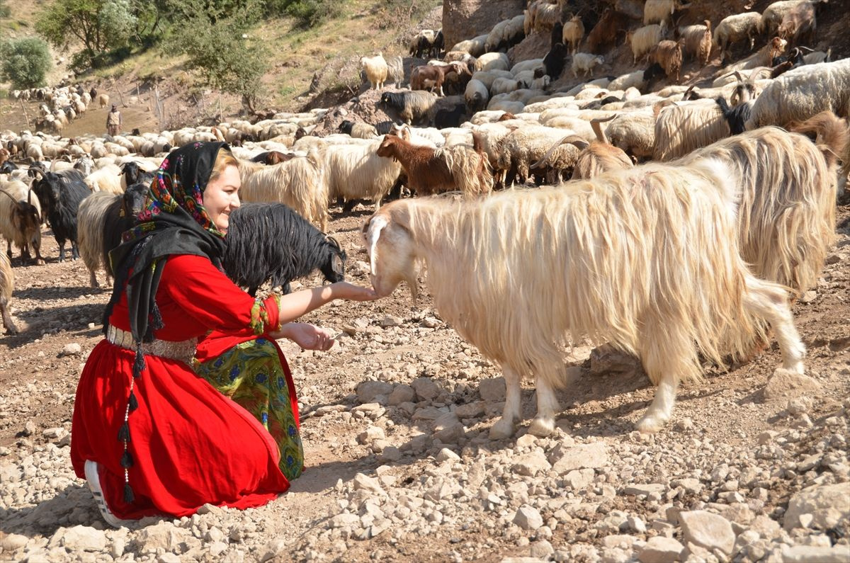 Alime Öğretmen Hakkari'nin dağ köylerinde mutluluğu buldu - Sayfa 15