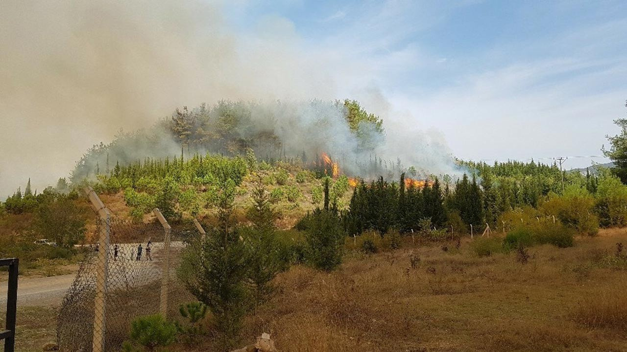 Hatay'dan sonra kentte bir daha yangın provokasyonu