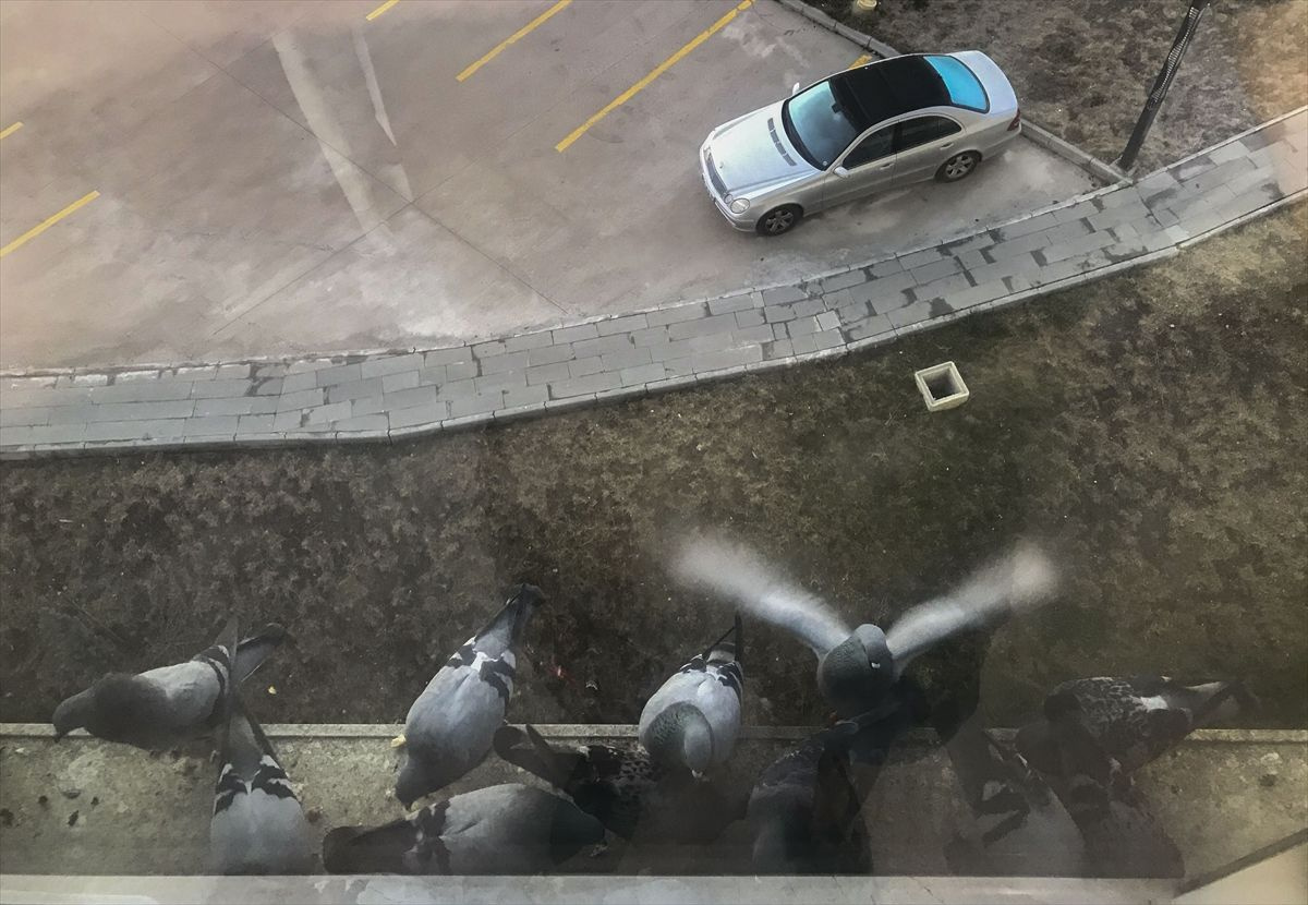 AA muhabiri tedavi günlerinin resmini çekti - Sayfa 6