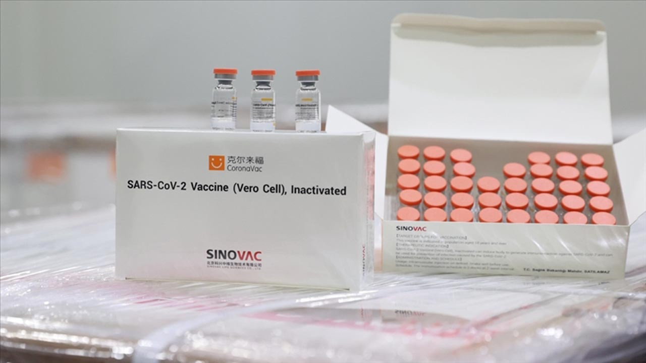 Sinovac mı BioNTech mi Çin aşısı mı Alman aşısı mı yaptırmalı yorumlar ne diyor