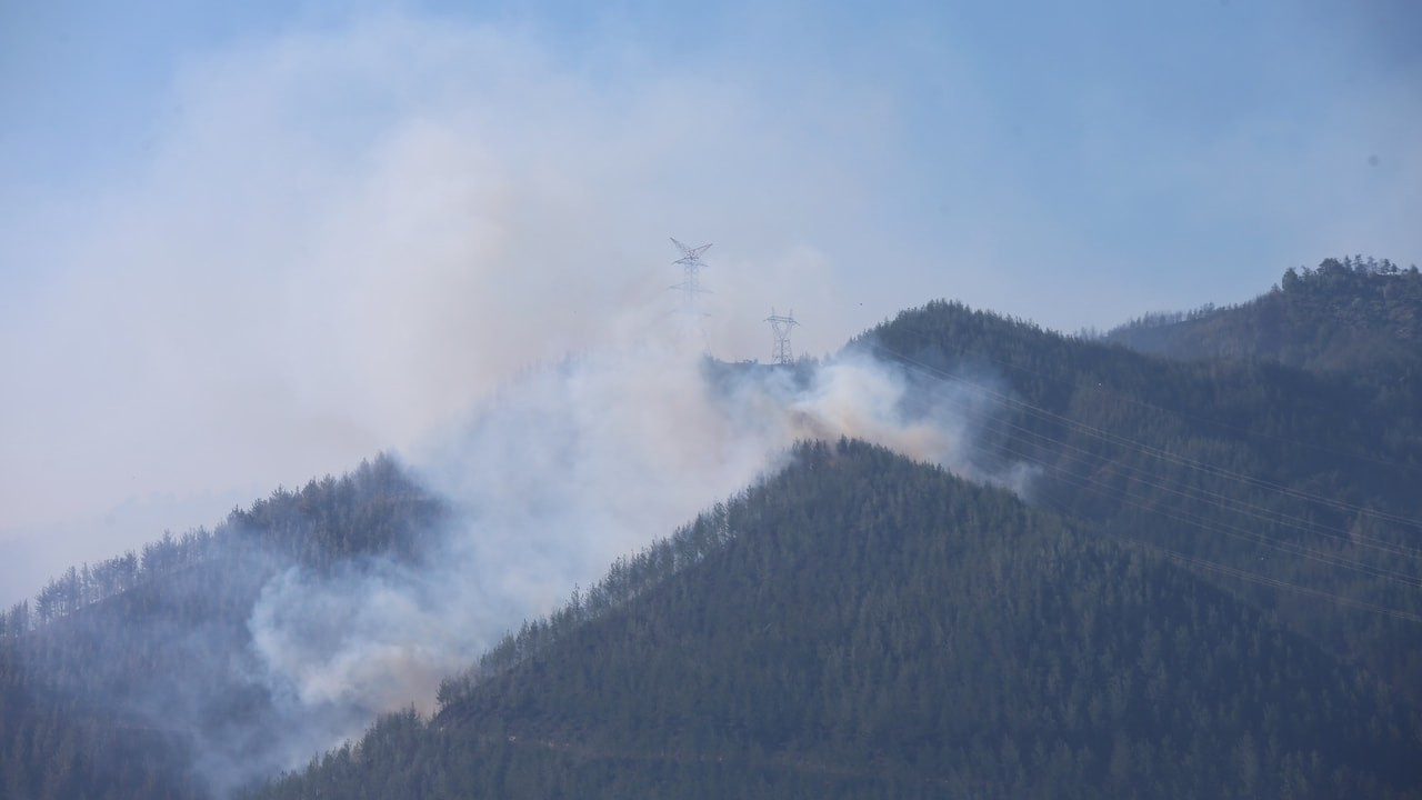 Adana'daki orman yangını hala kontrol edilemedi