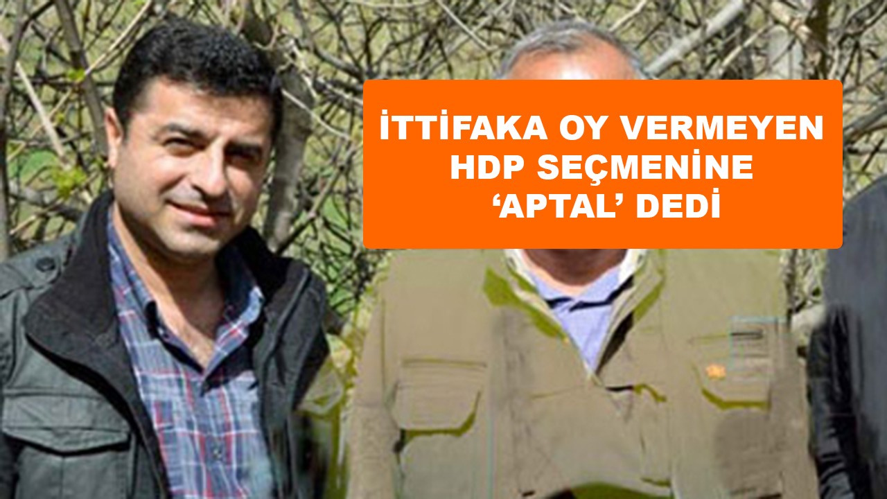Demirtaş ittifak karşıtı HDP'lilere aptal dedi