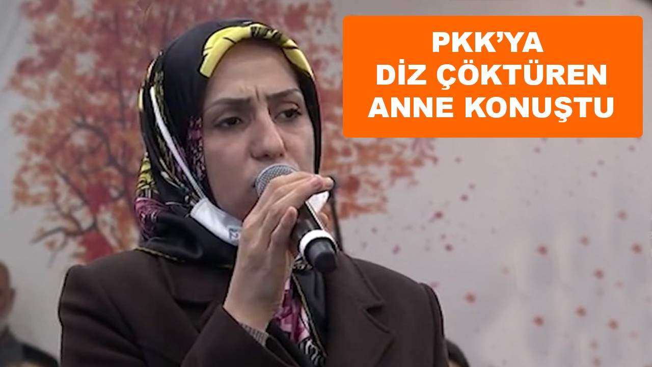 PKK'ya diz çöktüren Ayeşgül Biçer konuştu