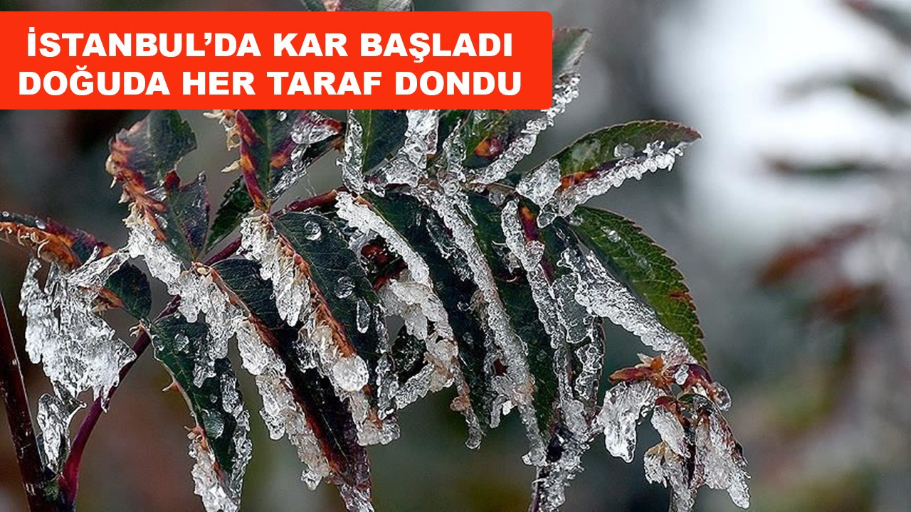 İstanbul'da lapa lapa kar yağışı