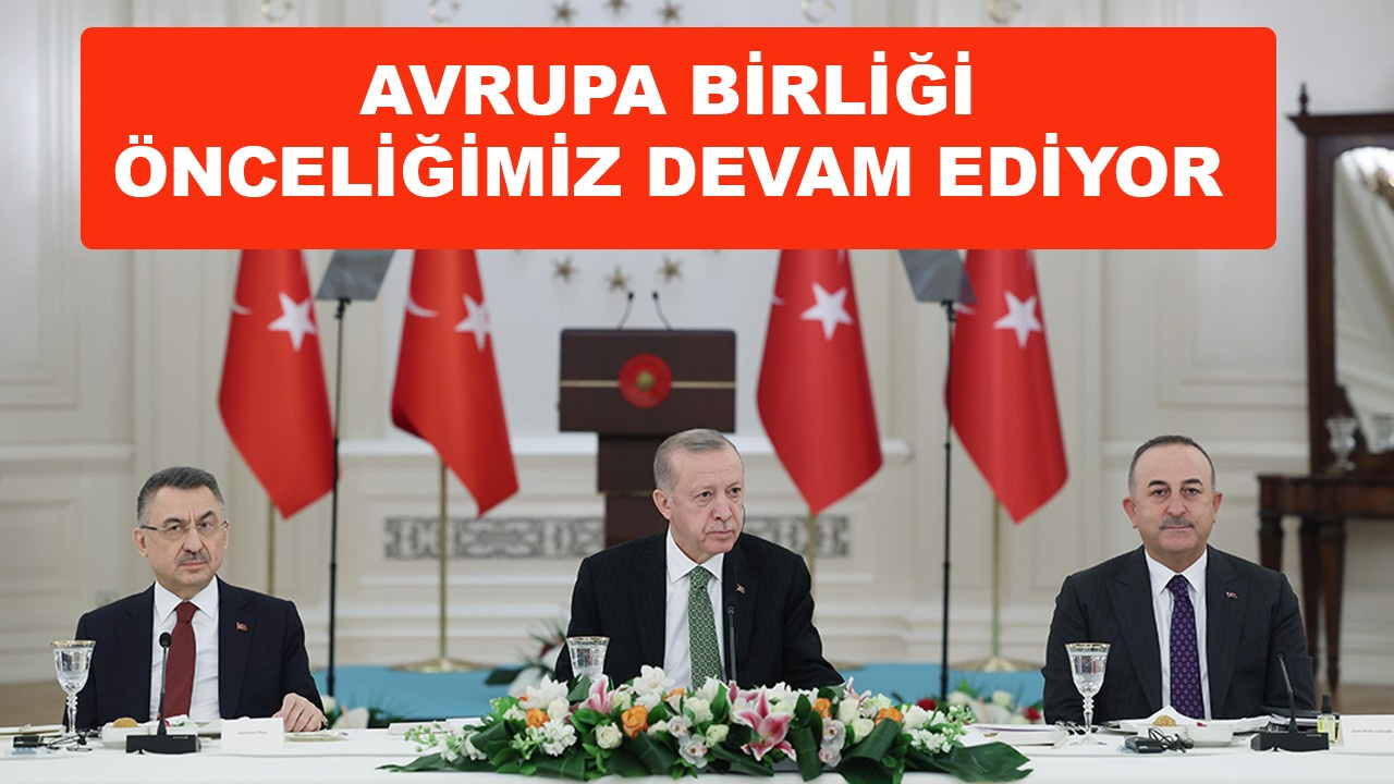 Cumhurbaşkanı Erdoğan AB büyükelçilerine seslendi