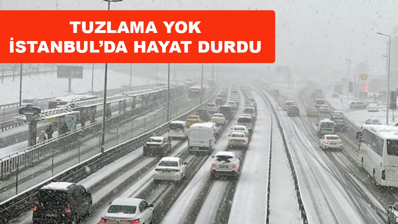 İstanbul'da kar hayatı durdurma noktasına getirdi