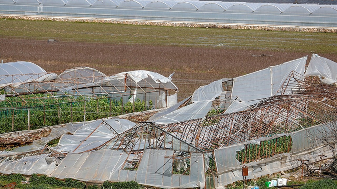 Antalya çiftçisine 61 milyon TL hasar ödemesi