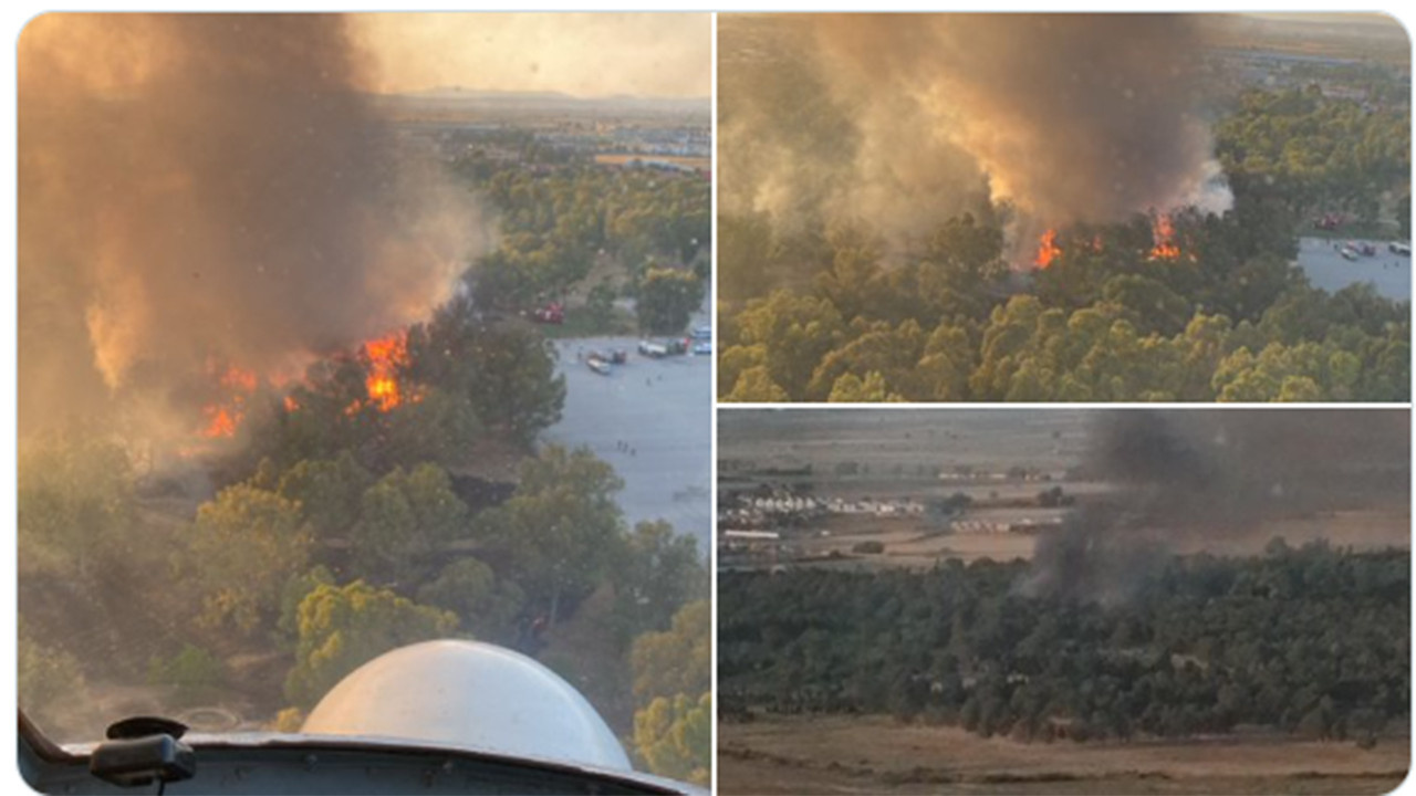 İzmir son dakika yangın haberi... Sasalı Doğal Yaşam Parkı yanıyor...