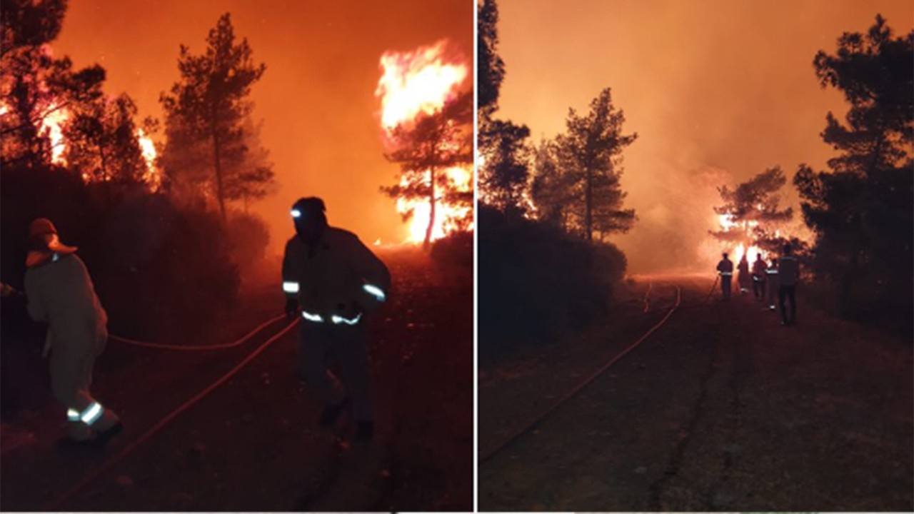 Marmaris'teki orman yangınıda son durum